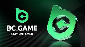Exploring BC.Game The New Wave of Gaming in Cameroon